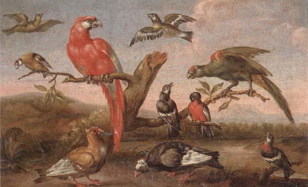unknow artist A river landscape with parrots and other birds